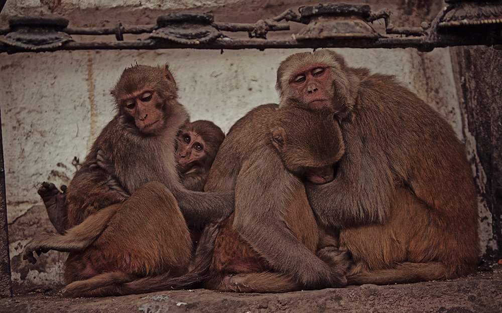 Ganga Paying Guest House Varanasi Exterior foto